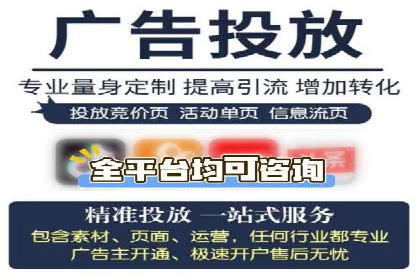 谷歌竞价广告的投放策略与成功案例分析